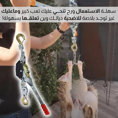 حـــامـــل اضحــــيــــة الــعيــــــد
