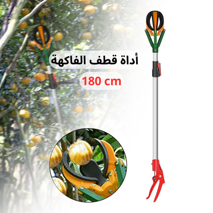 أداة قطف الفاكهة