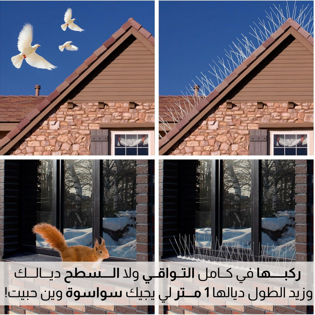 سلــك طــرد الـــطيور للنـــوافــذ