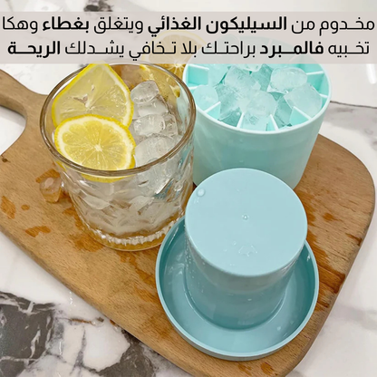 قالب صنع مكعبات الثلج من السيليكون