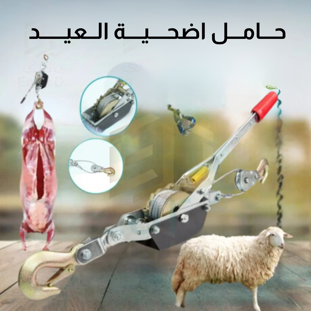 حـــامـــل اضحــــيــــة الــعيــــــد